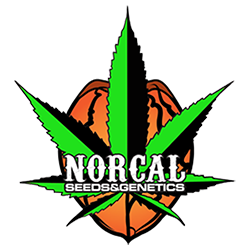 NorCal Seeds and Genetics