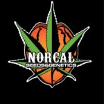 NorCal Seeds and Genetics