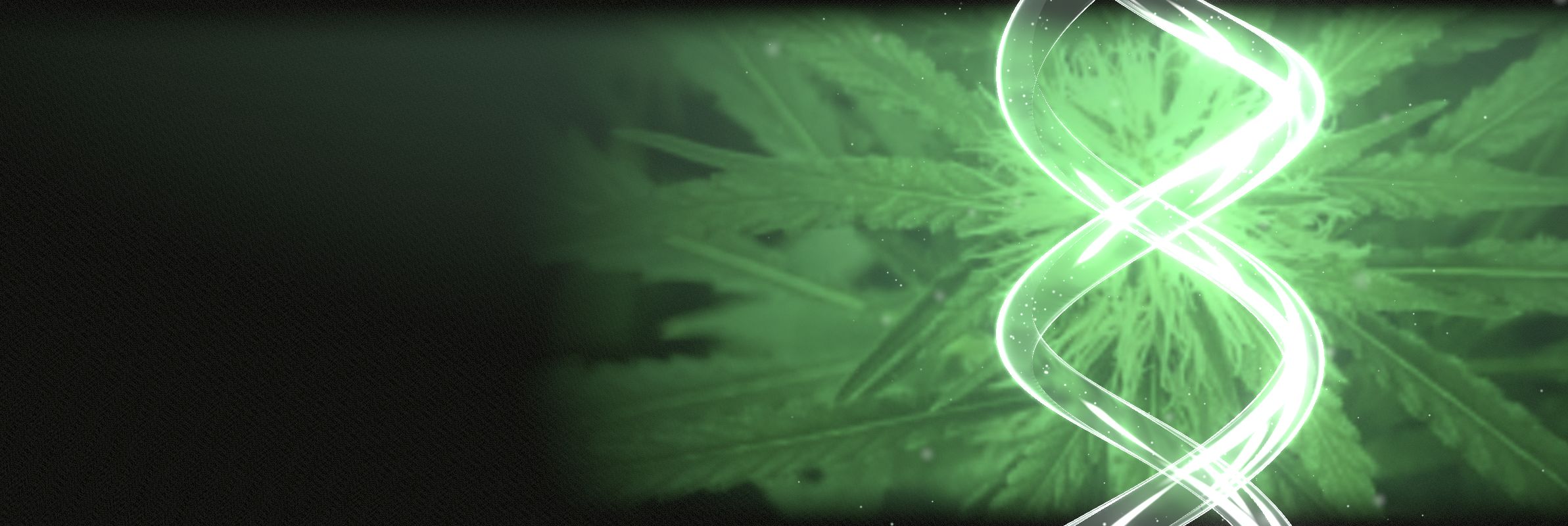 A glass double helix turning in front of a cannabis plant